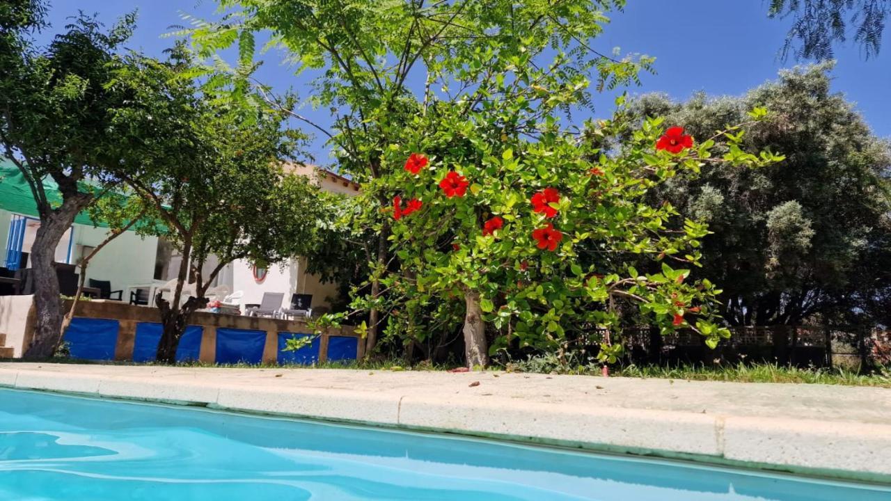 House With Exclusive Pool And Garden 7 Min Walk From The And The Center Holiday home *