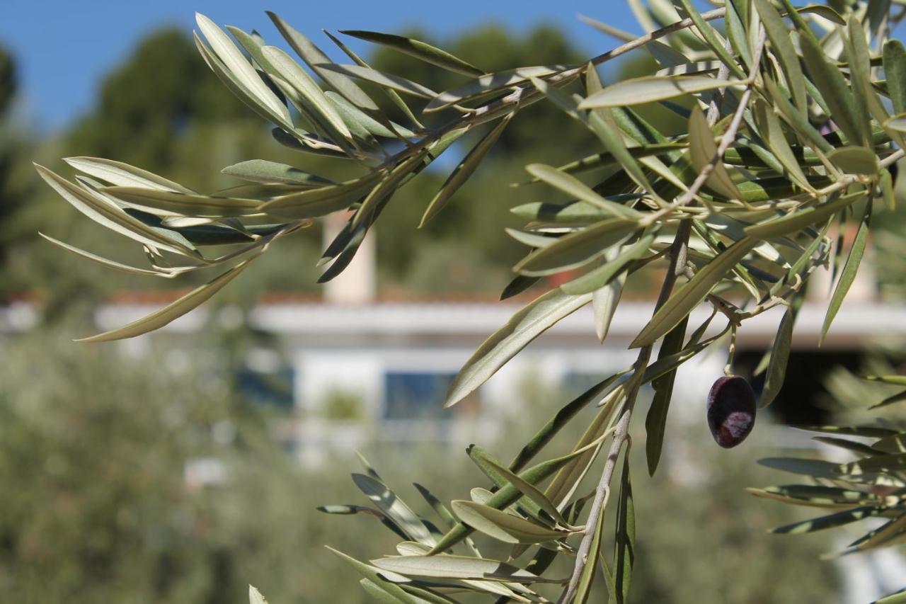 Mofletes - Adults Only Bed & Breakfast Chinchon