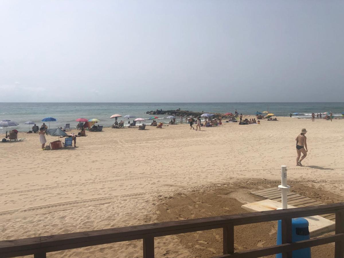 Nuevos Coloso Playa