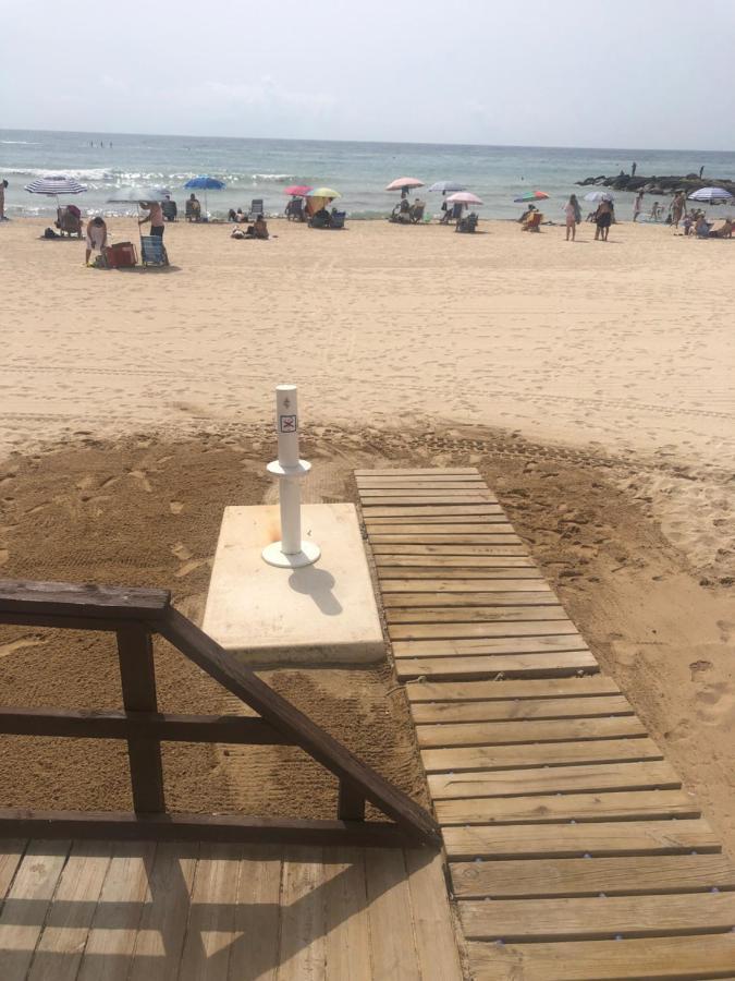 Nuevos Coloso Playa Torrevieja
