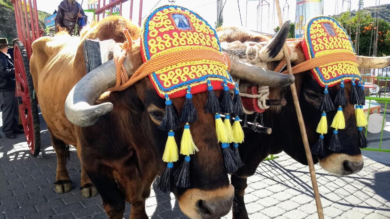 Casa Almachar Holiday home Competa