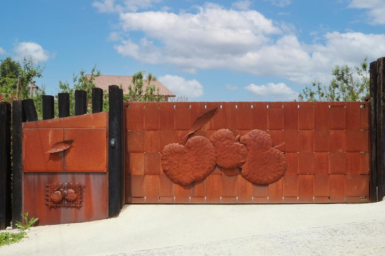 Country house Olivi1948 - Boutique *