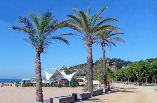 Apartamento Con Encanto. * Calella