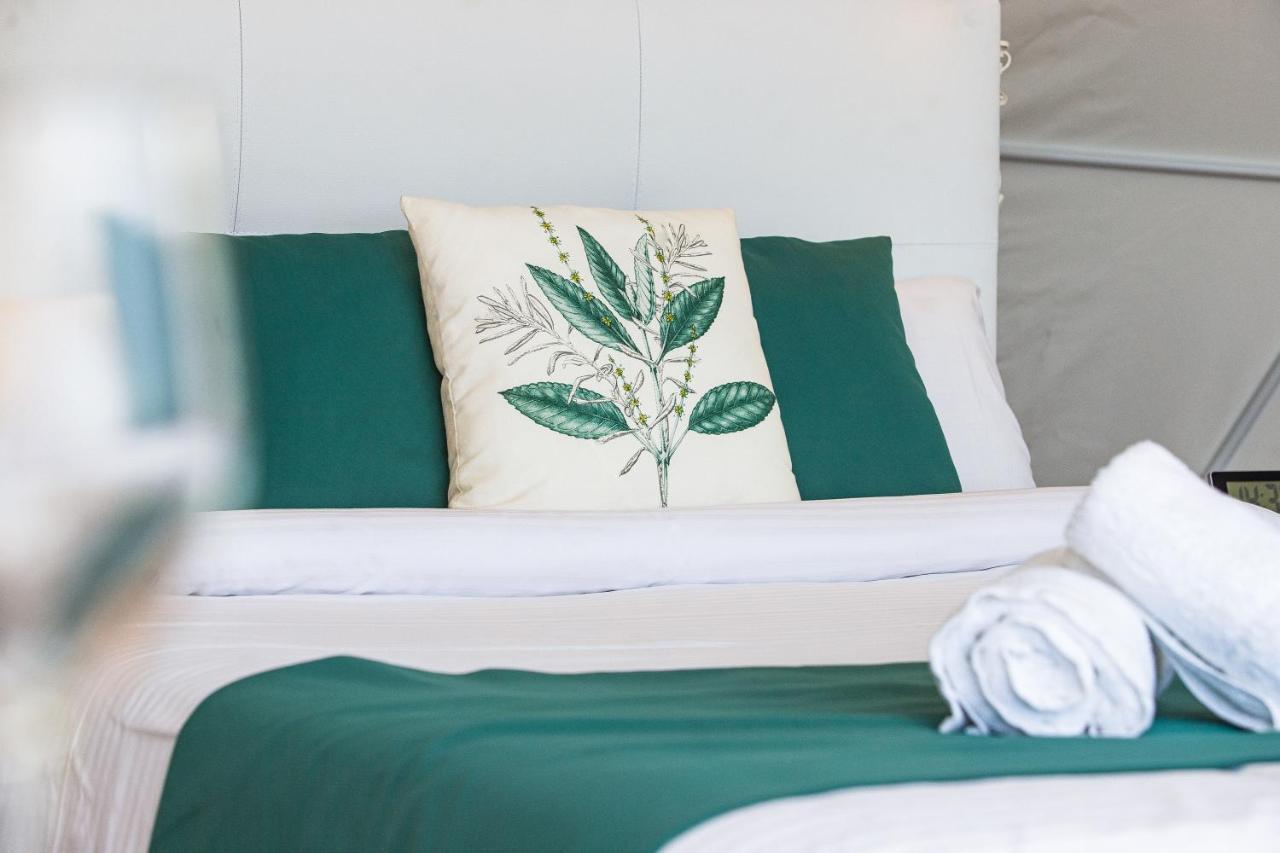 Eslanzarote Eco Dome Experience Holiday park *