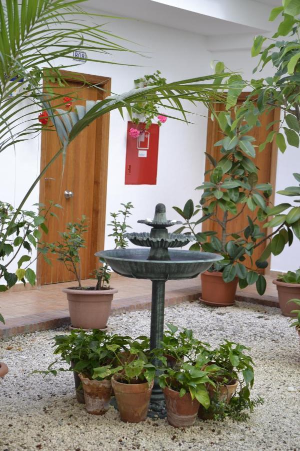 Oasis Atalaya