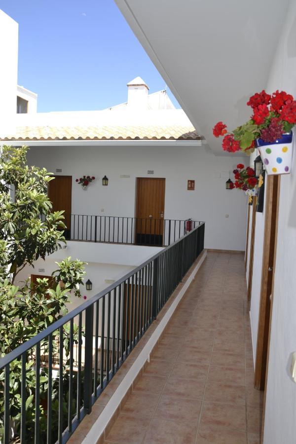 Oasis Atalaya