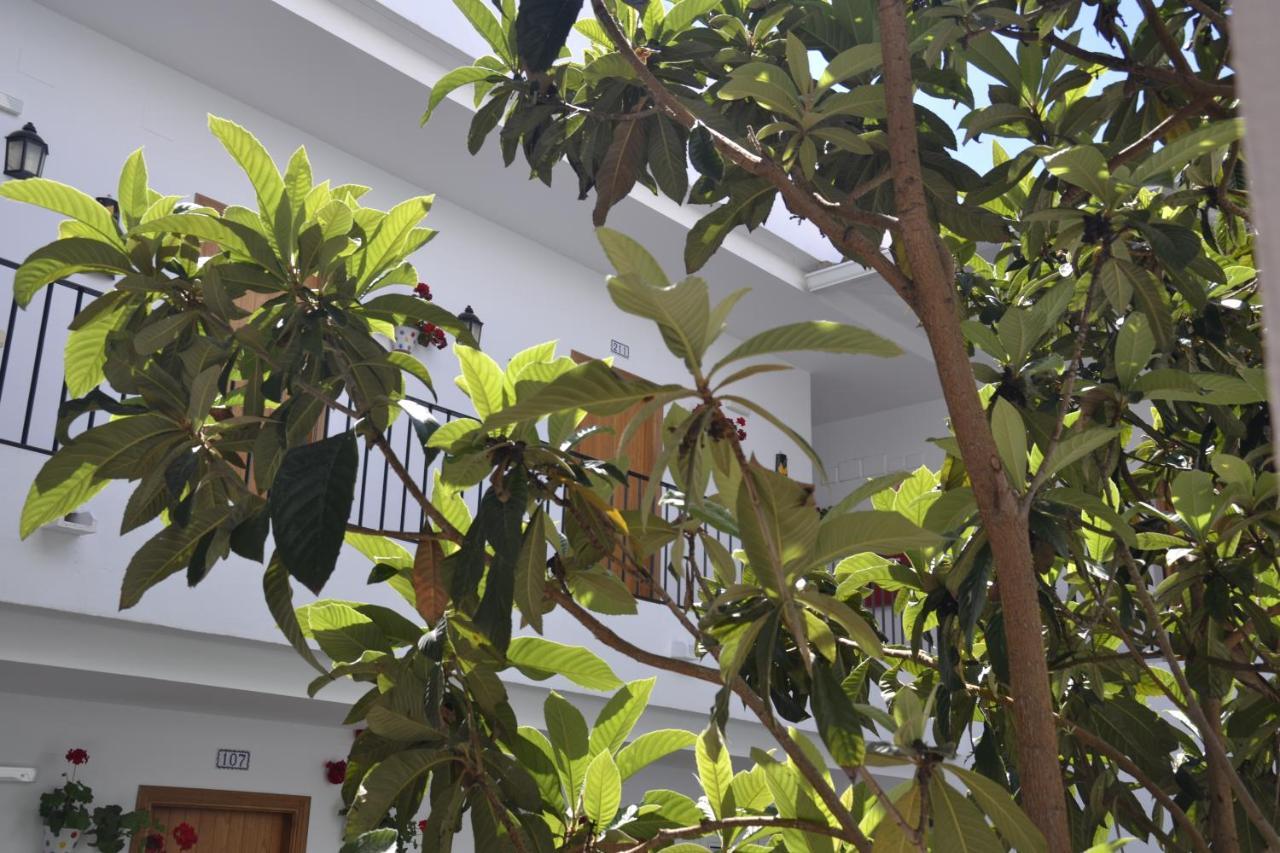 Oasis Atalaya Hotel Conil De La Frontera