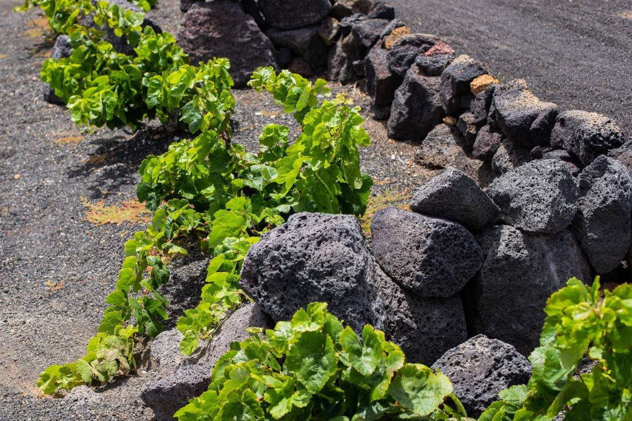 Eslanzarote Eco Dome Experience Holiday park *