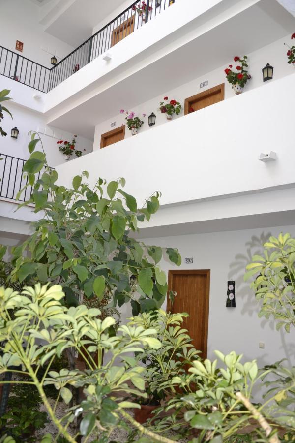 Oasis Atalaya *