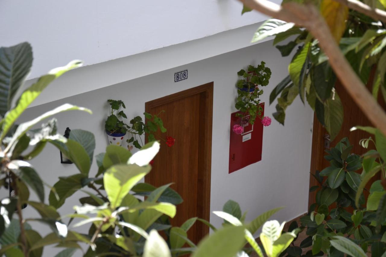 Oasis Atalaya