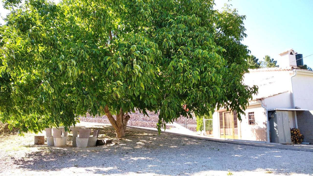 Holiday home Venta De La Casa Noguera Riopar