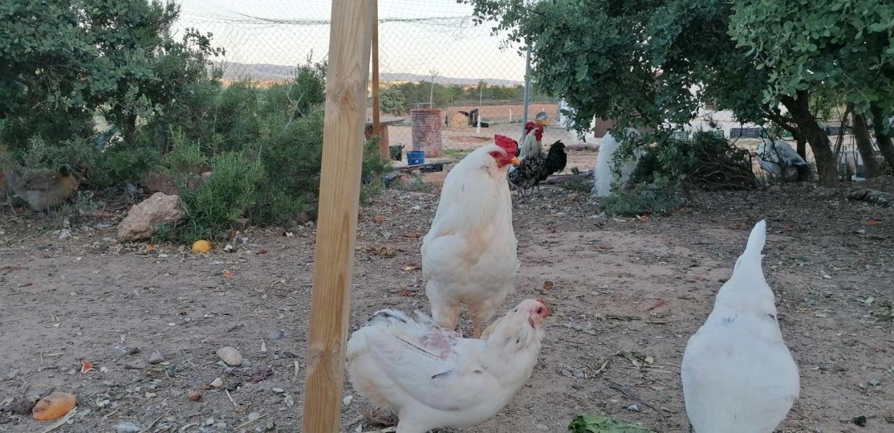 La Loma Country house