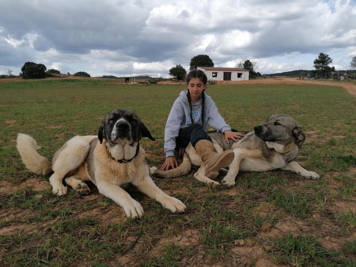 Country house La Loma