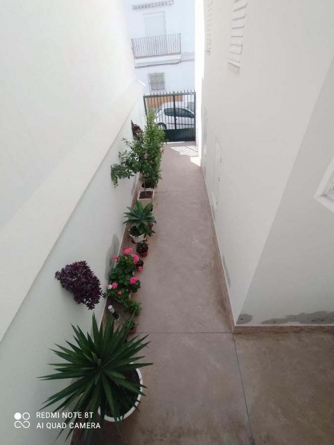 Atico-duplex Palmeras *