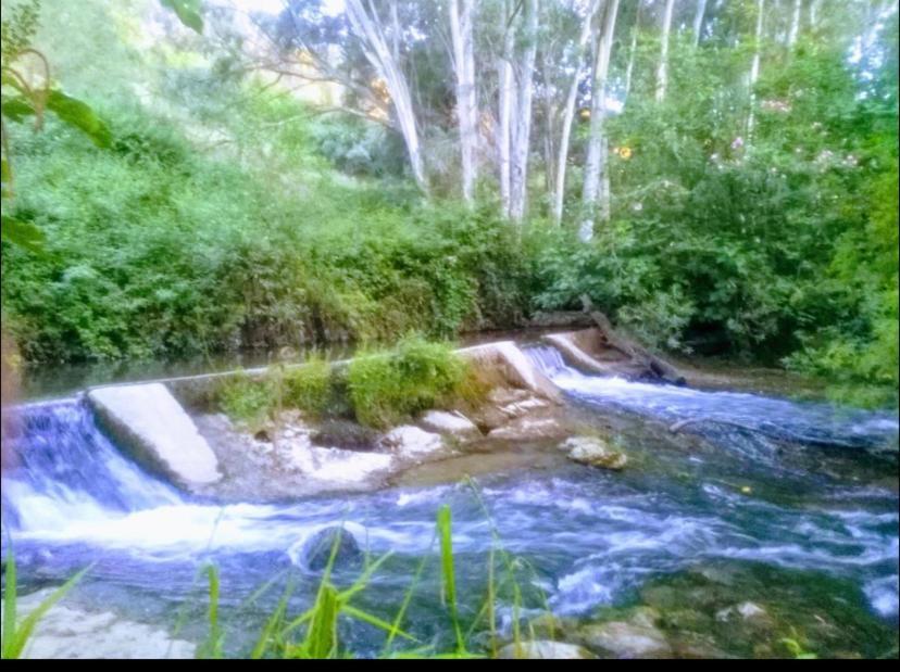 Alto De Torrecillas Holiday home El Bosque