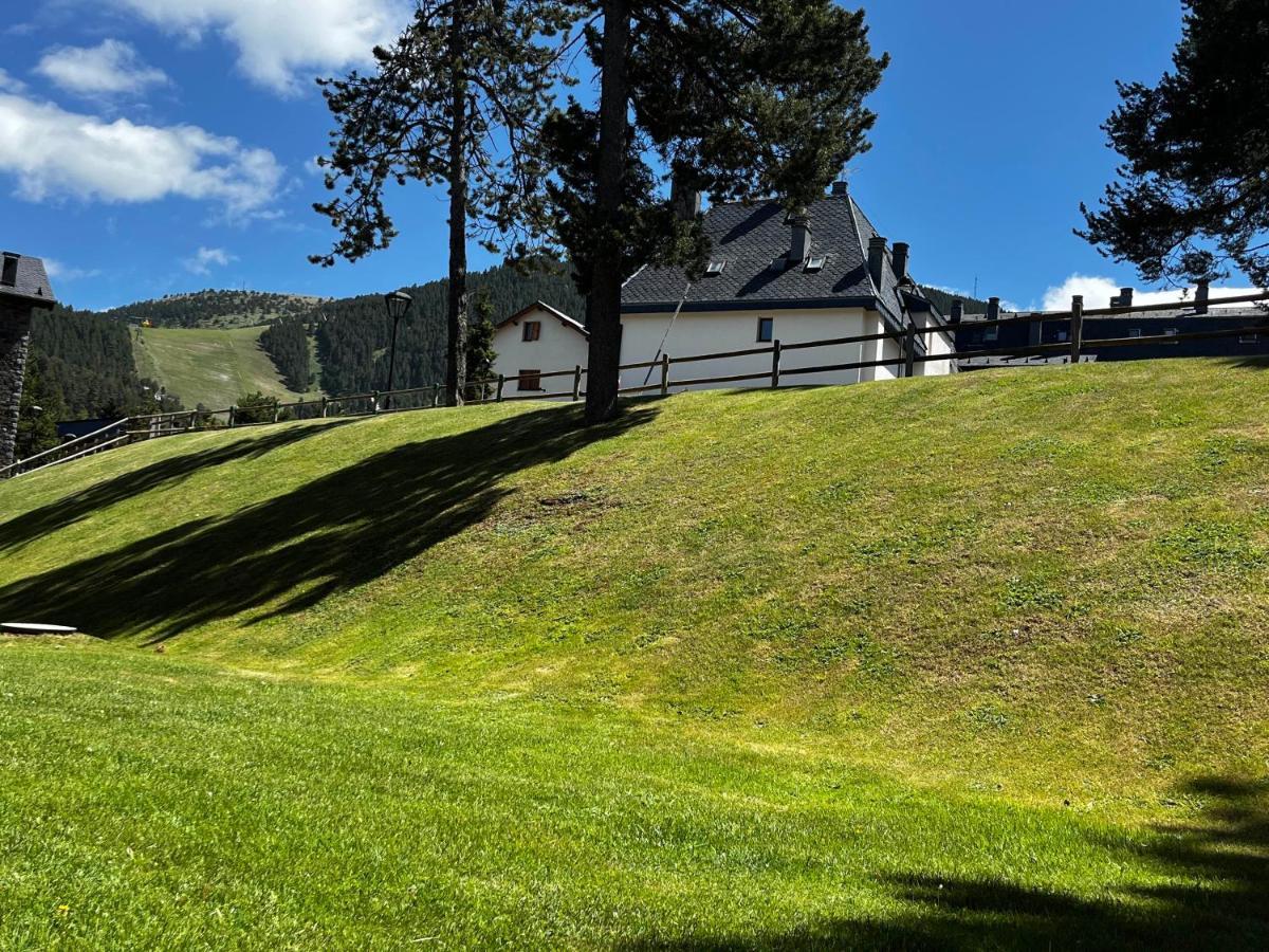 L'osset La Molina (Girona)