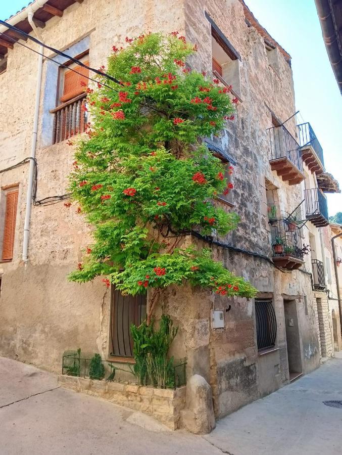 Apartment Burgues