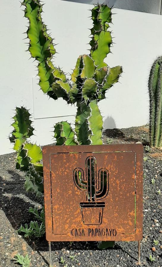 Splendid Casa Papagayo, Heated Pool, Roofterrace With Views And Wifi Villa *