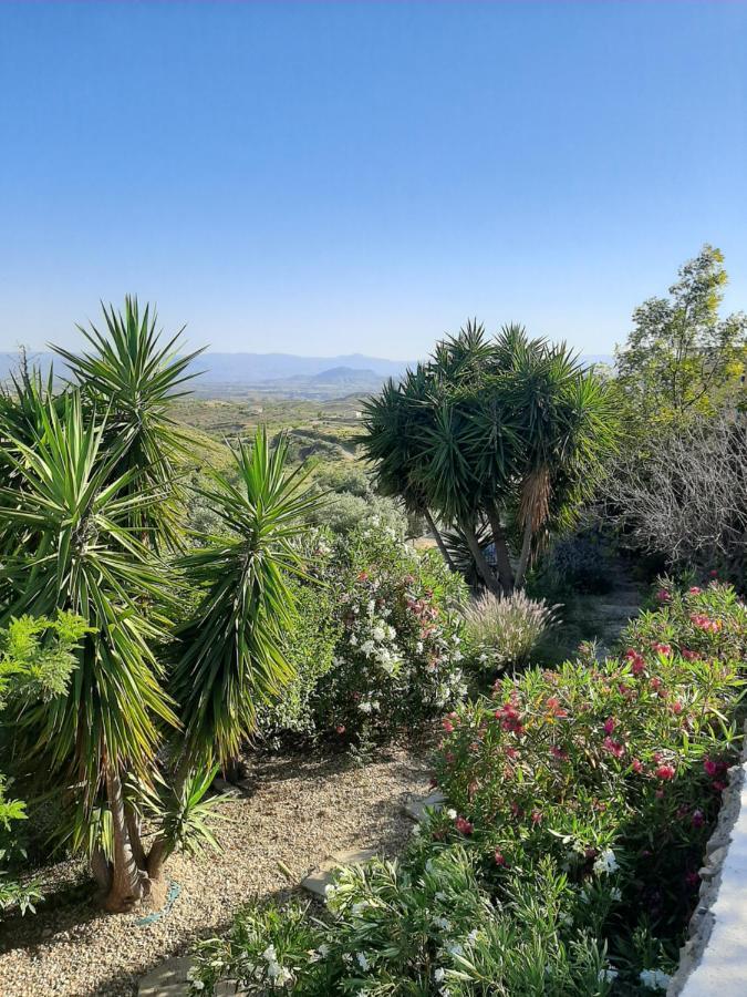 La Colmena Homestay *