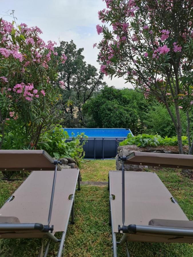 En Con Piscina Y Un Maravilloso Jardin Candeleda