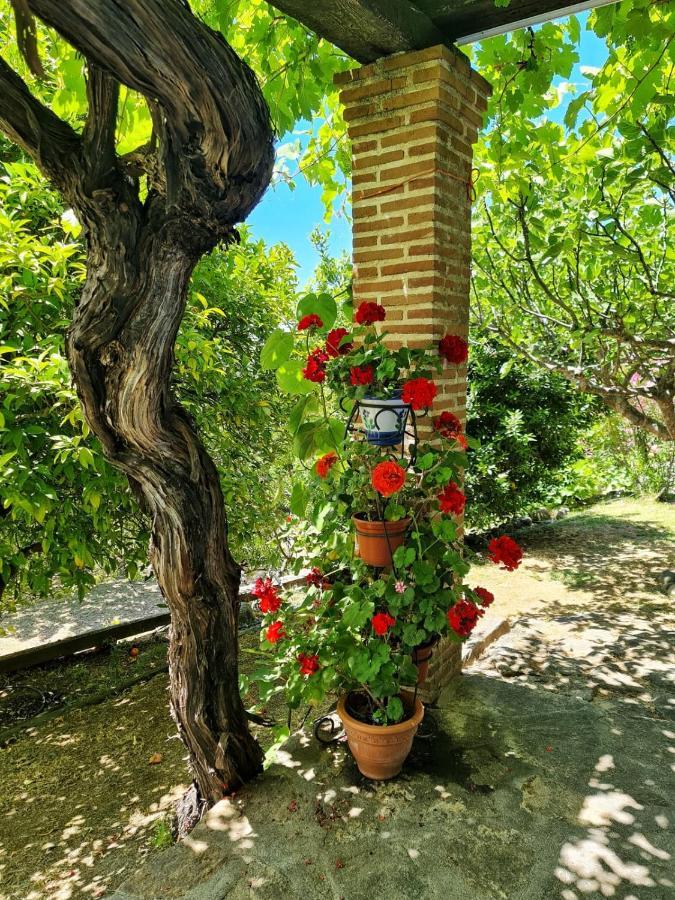En Con Piscina Y Un Maravilloso Jardin * Candeleda