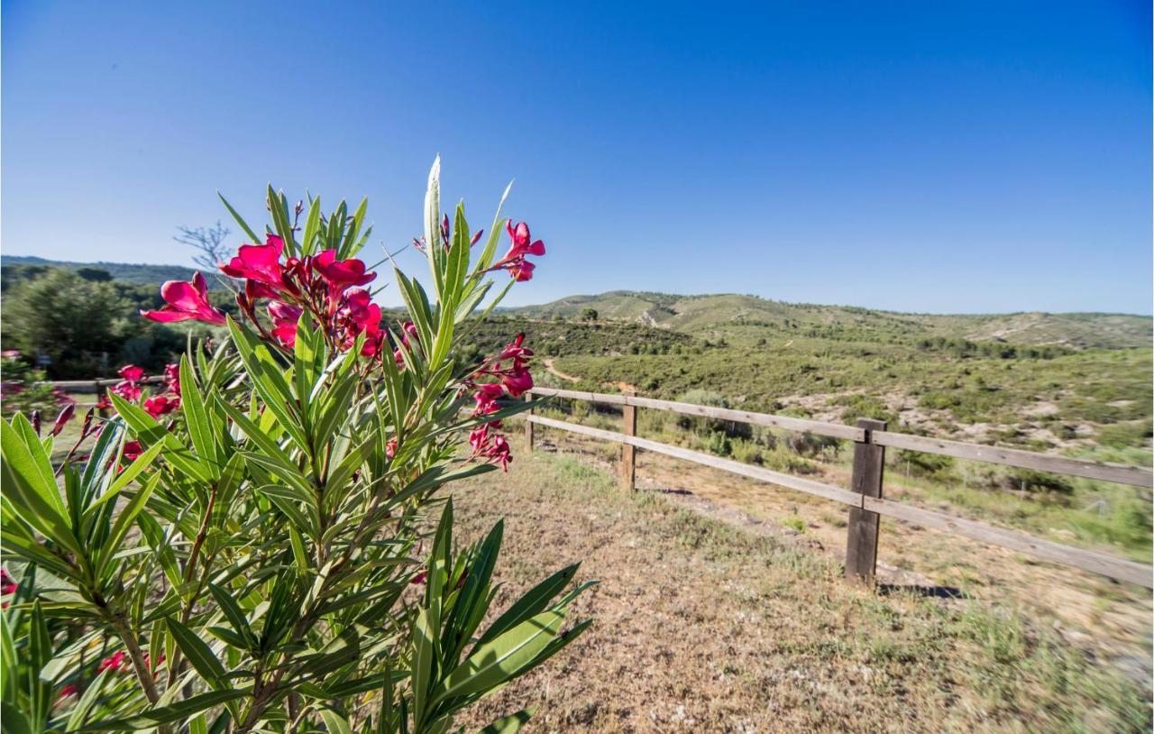 Holiday home Cozy In Les Coves de Vinroma