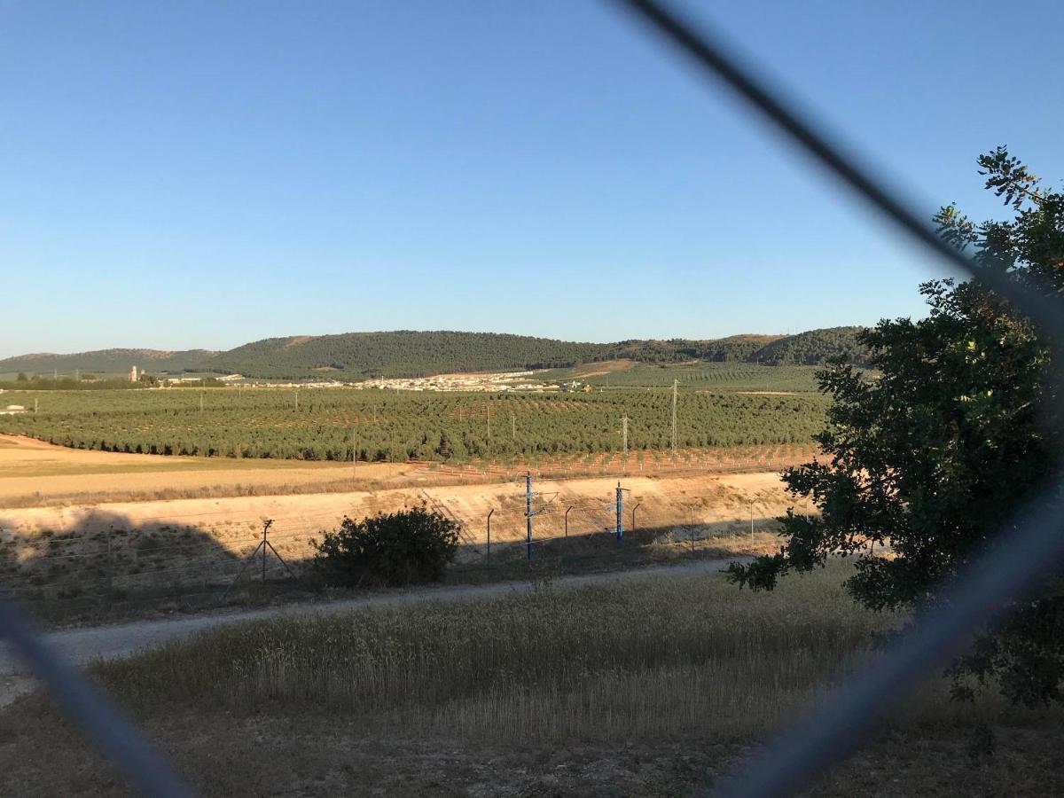 Cortijo Vista Alegre * Fuente de Piedra
