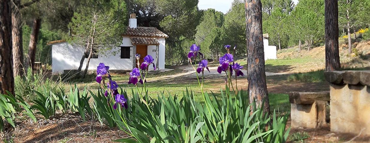 Casitas La Purisima Macho