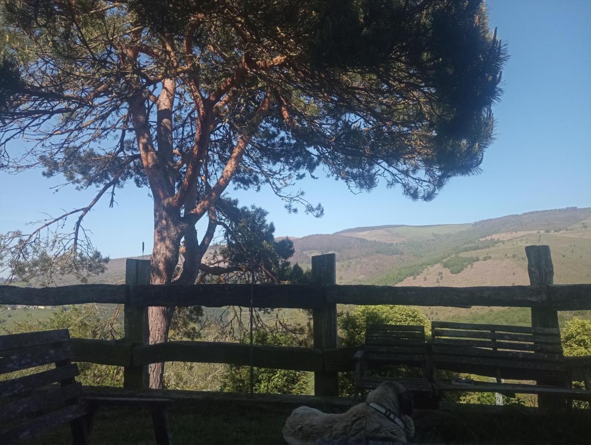A Casoa - Rural * Taramundi