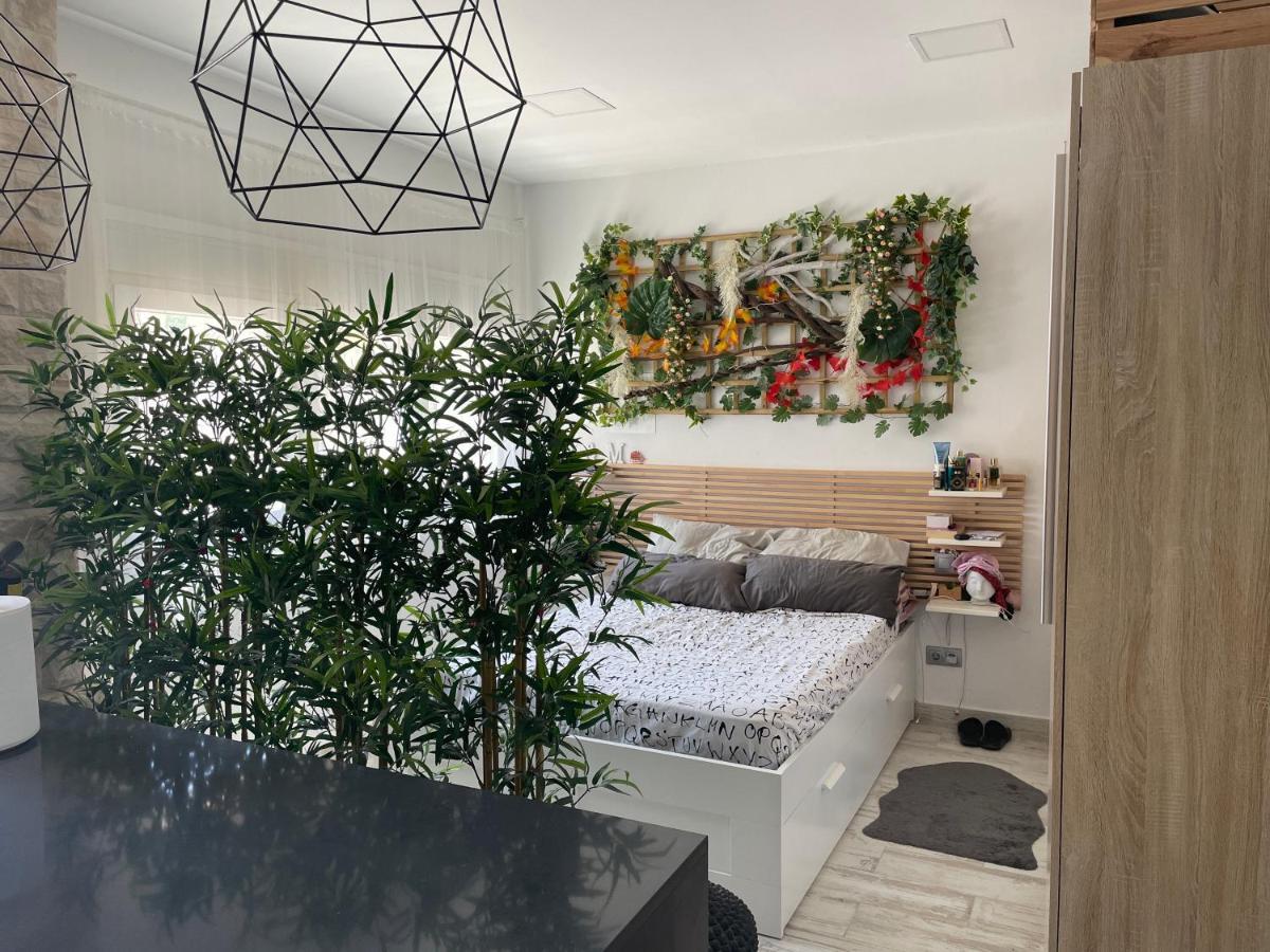 Loft en San Pedro Alcantara a 2 km de Puerto Banus *