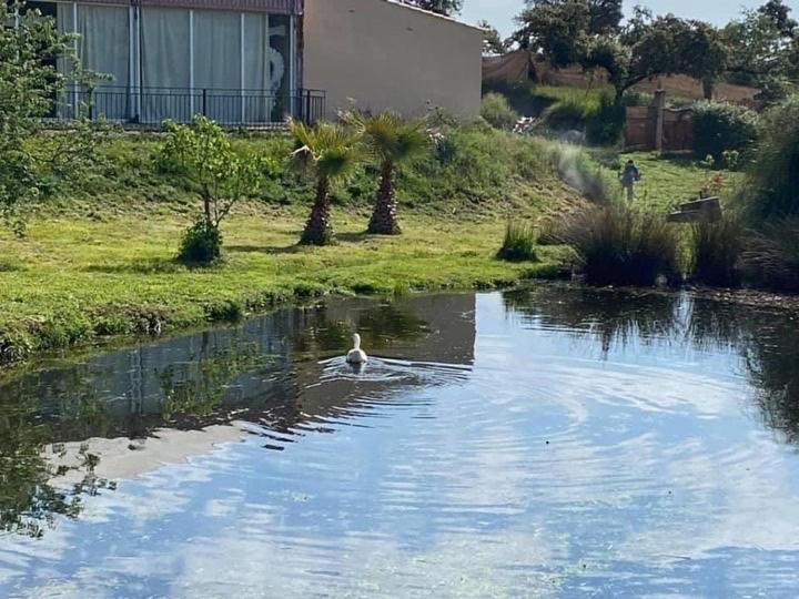 Complejo Rural El Prado Hotel 4*