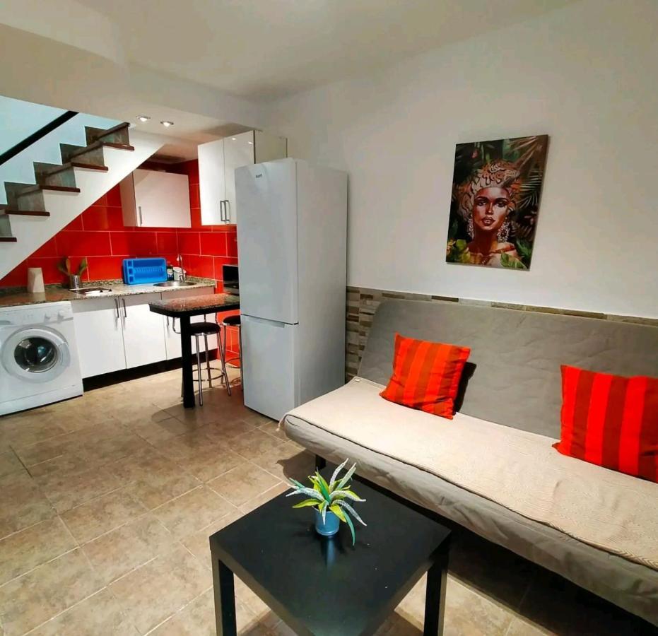 Apartment Dunaflor Grey *