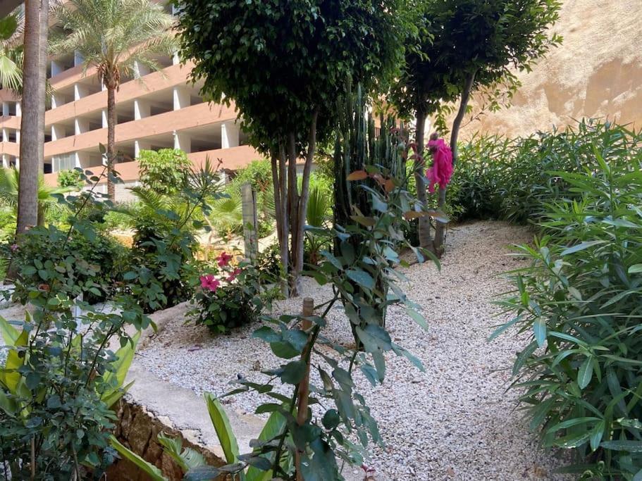 Apartamento Apartamento De Lujo En Playa Poniente