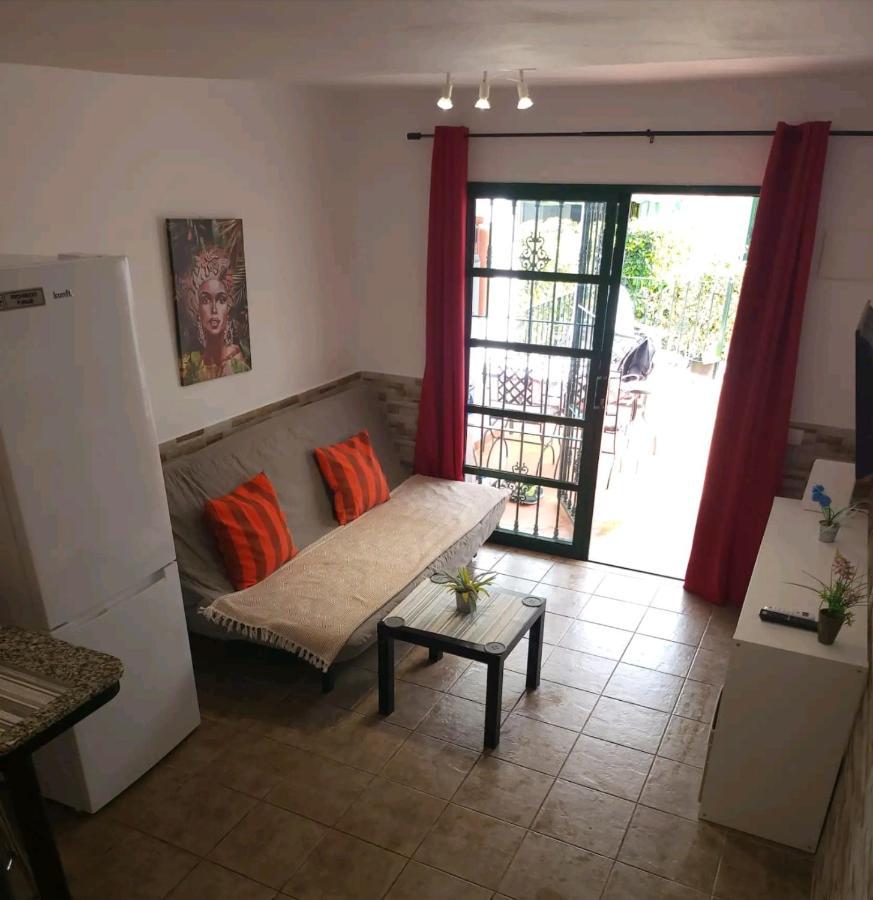 Apartment Dunaflor Grey