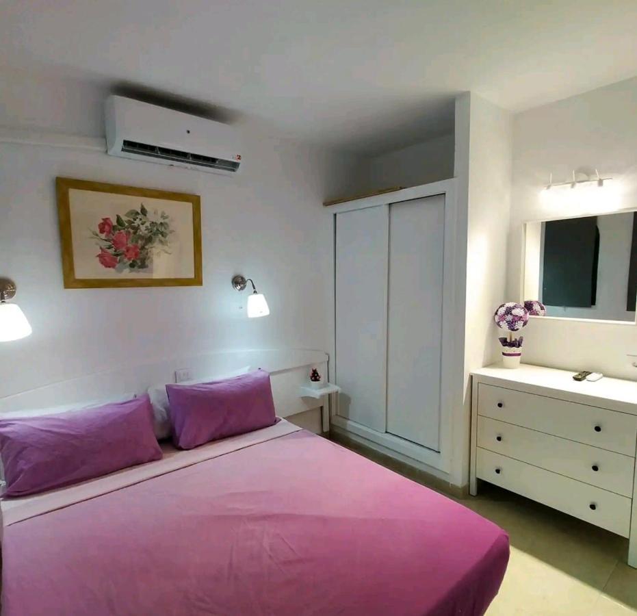 Apartment Dunaflor Grey *