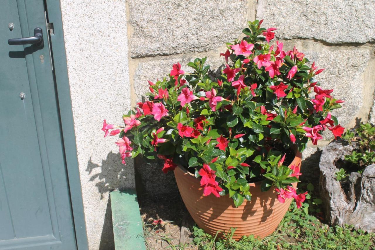 Precioso Piso En Playa America Con Jardin Privado. Apartment *