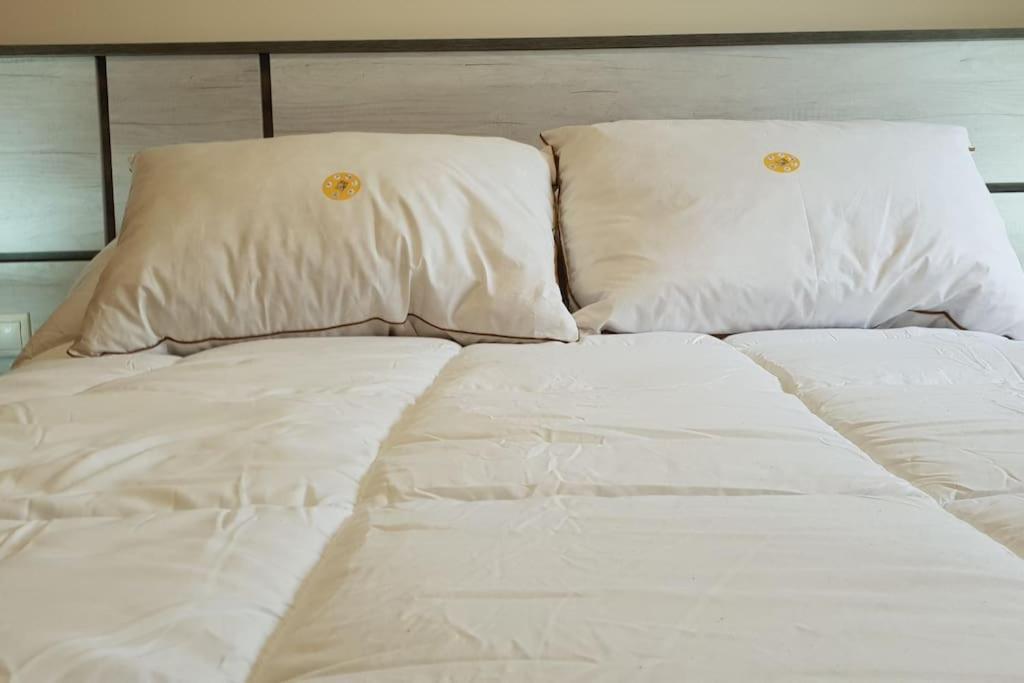 Piedad Fernandez Fernandez Gestion De Inmuebles Sl. Apartamento Burela