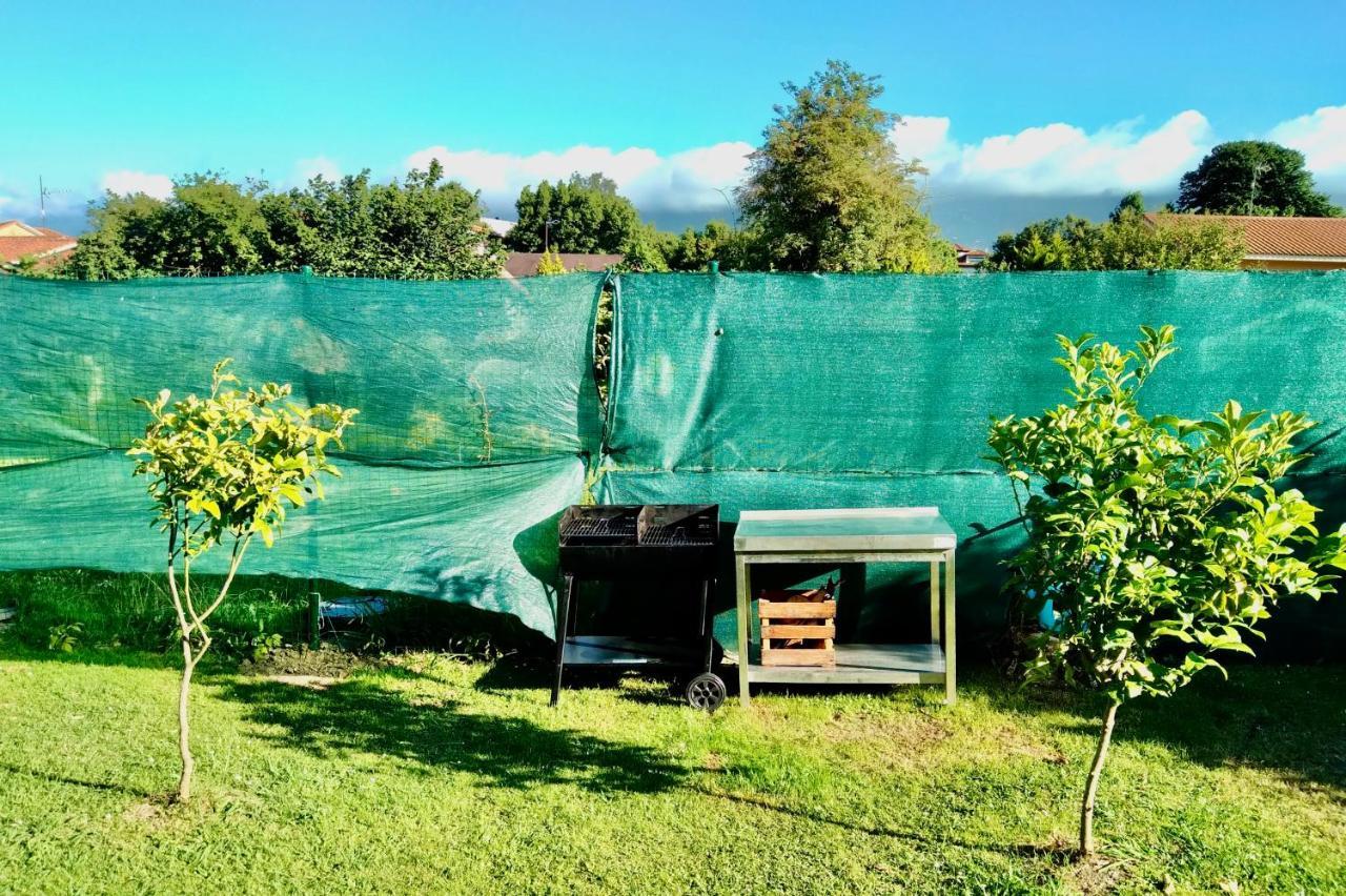 La Casa Verde *