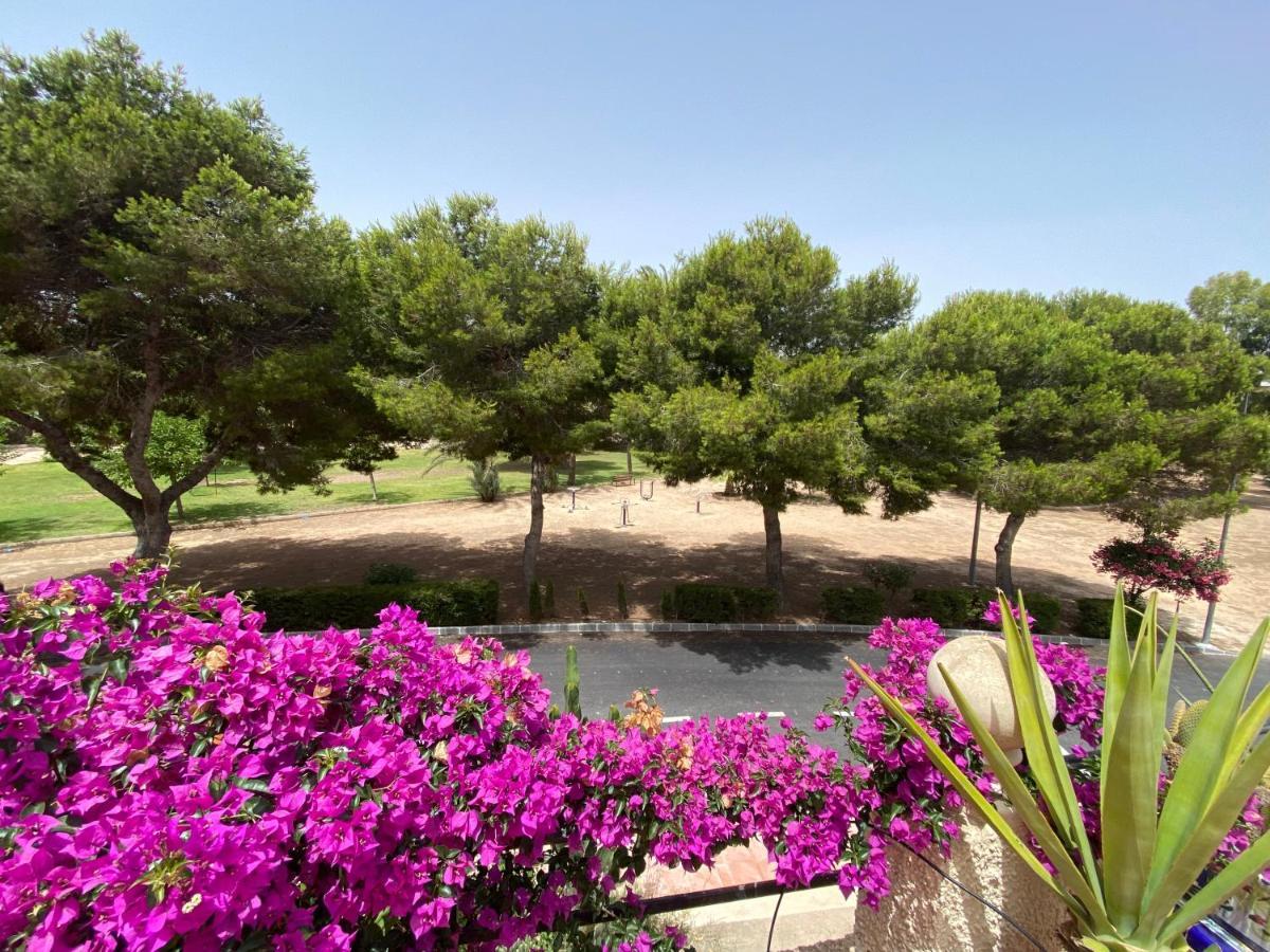 Apartamento Costa 3 Bdr On La Zenia With Patio *