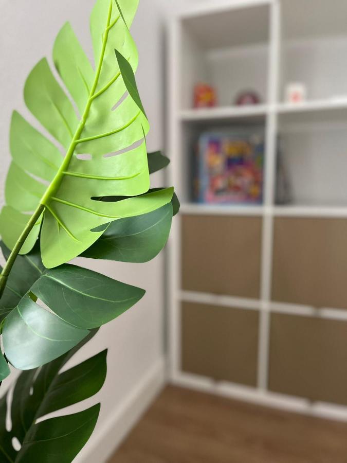Estupendo En Estación-centro, Wifi, Agua Por Osmosis Apartamento *
