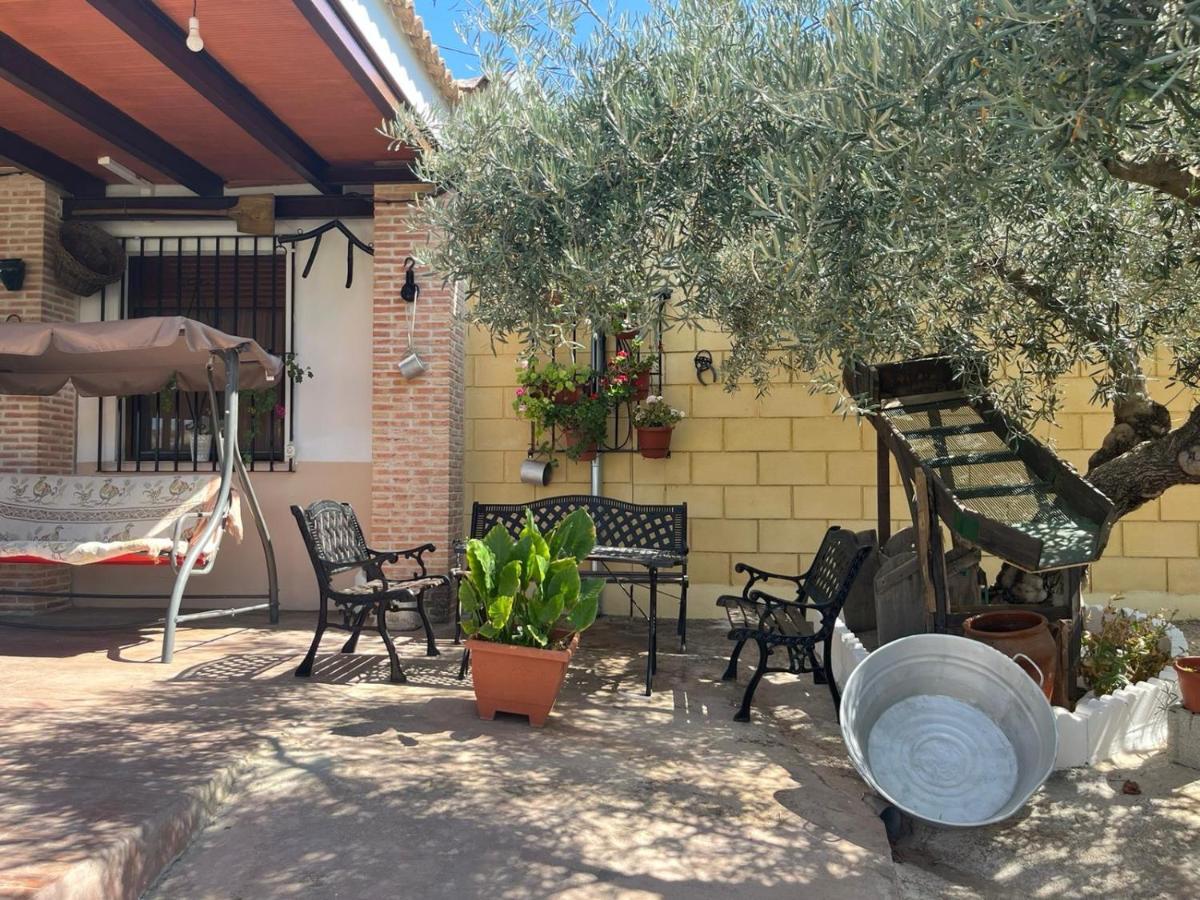 El Cuco Country house Luque