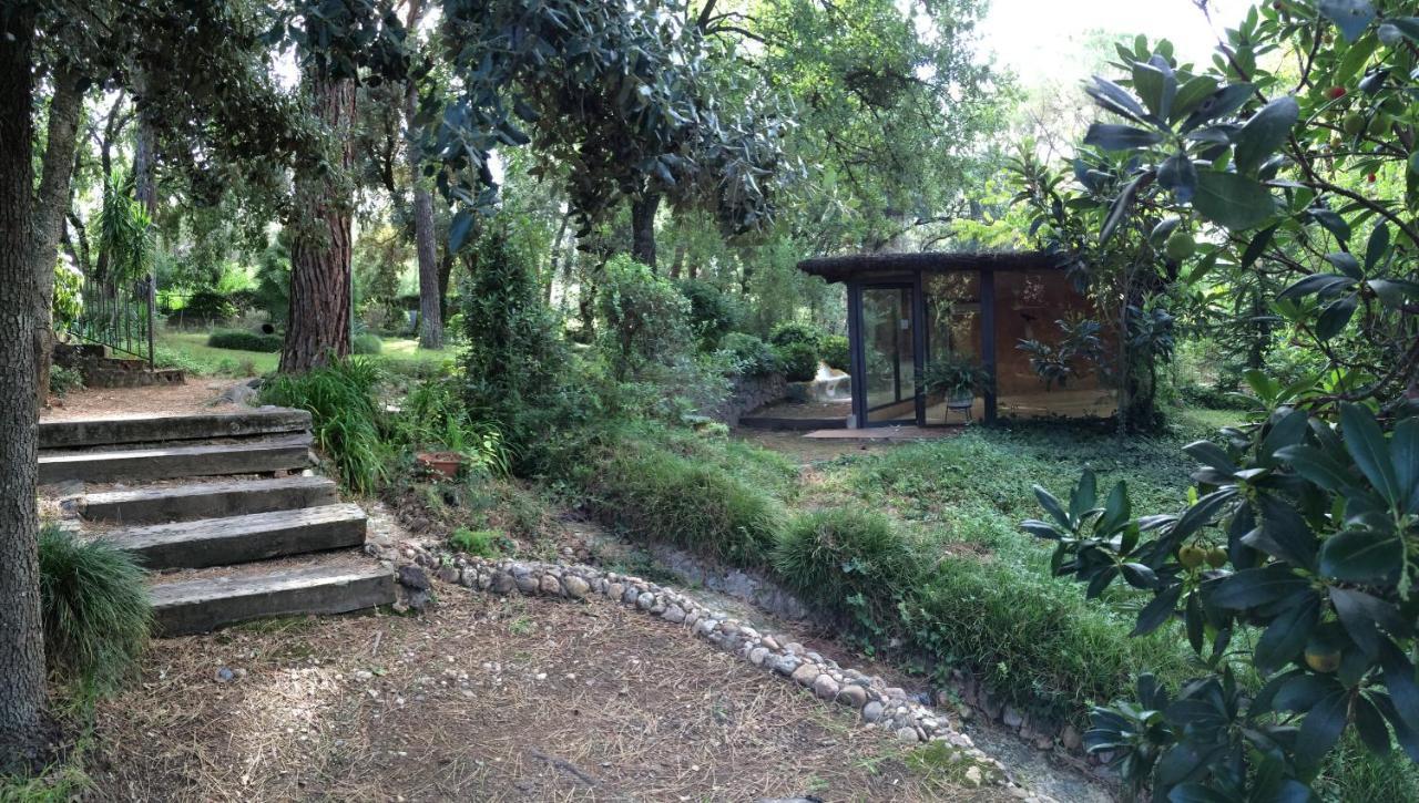 Main Villa: La Bruguera De Púbol Villa *