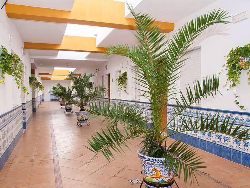 Apartamentos Jupiter