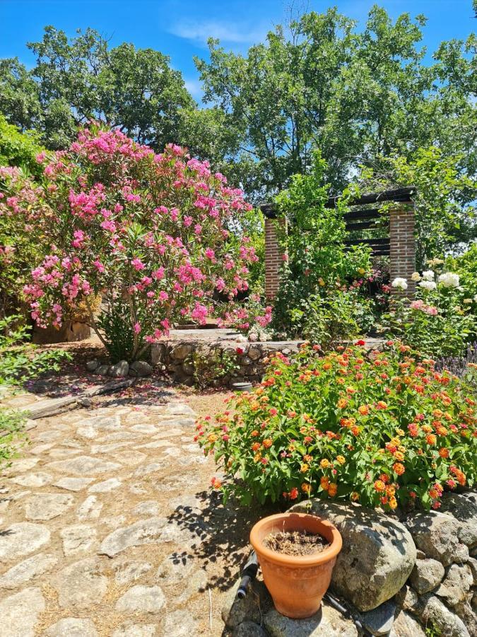 En Con Piscina Y Un Maravilloso Jardin * Candeleda