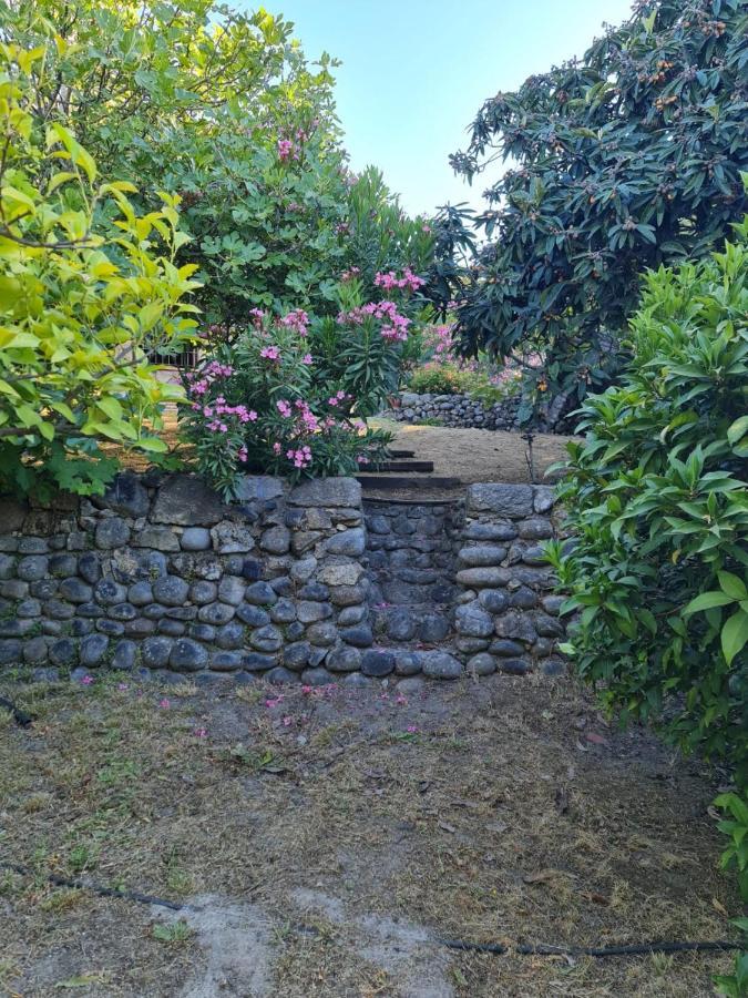 En Con Piscina Y Un Maravilloso Jardin Holiday home