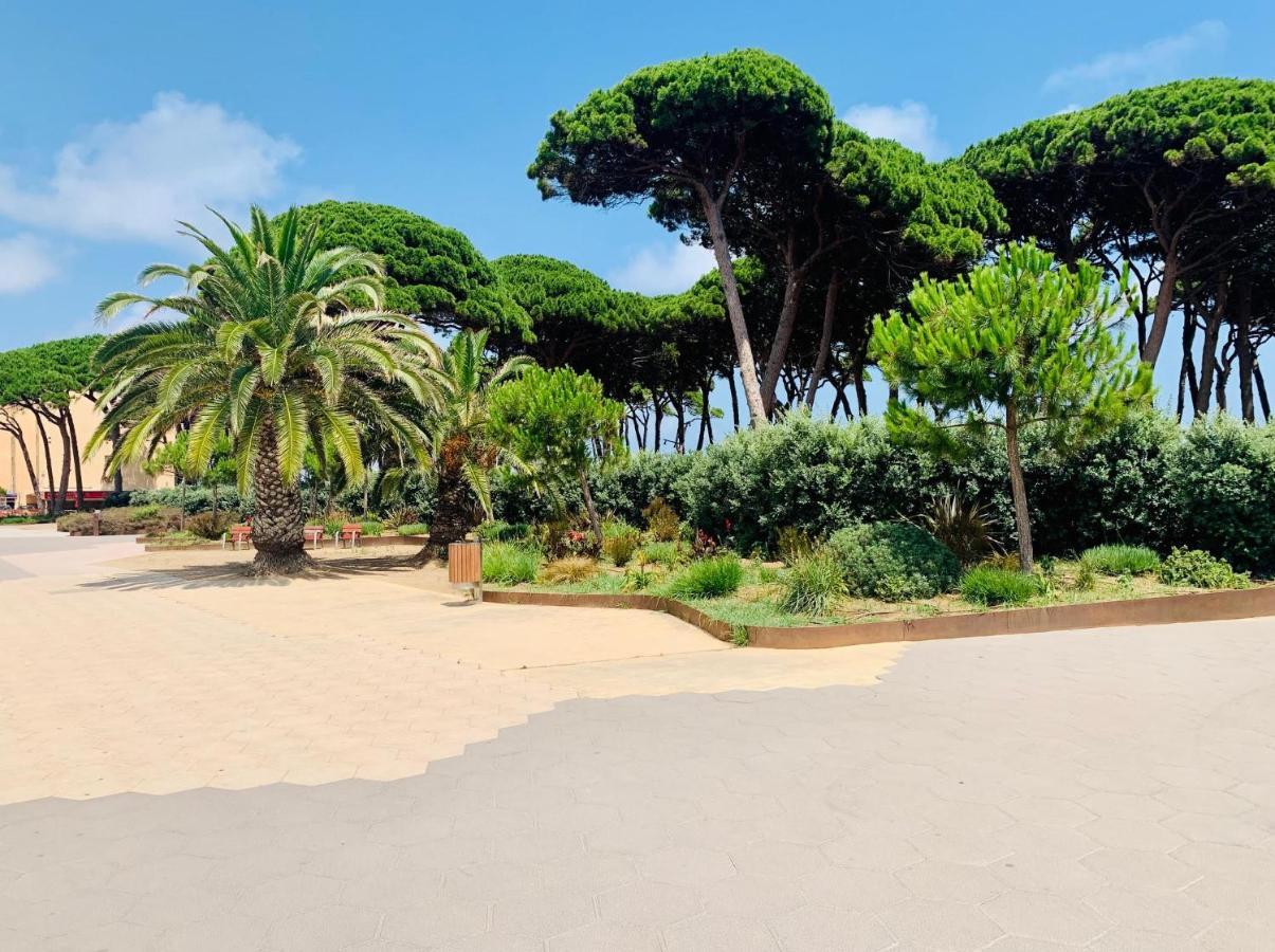 BOOK DMS I La Pineda Apartamento *