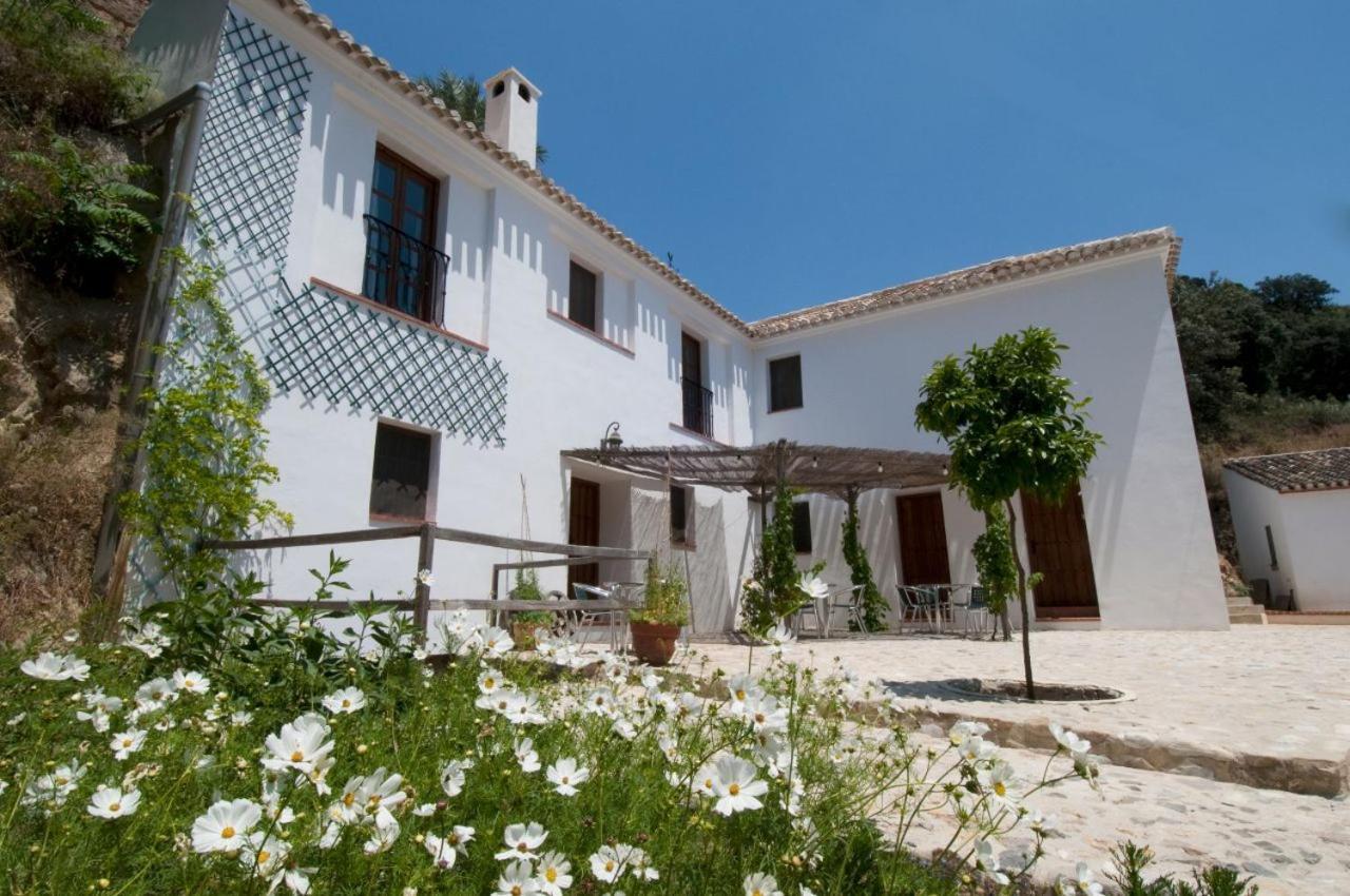 Molino La Ratonera Holiday home Granada