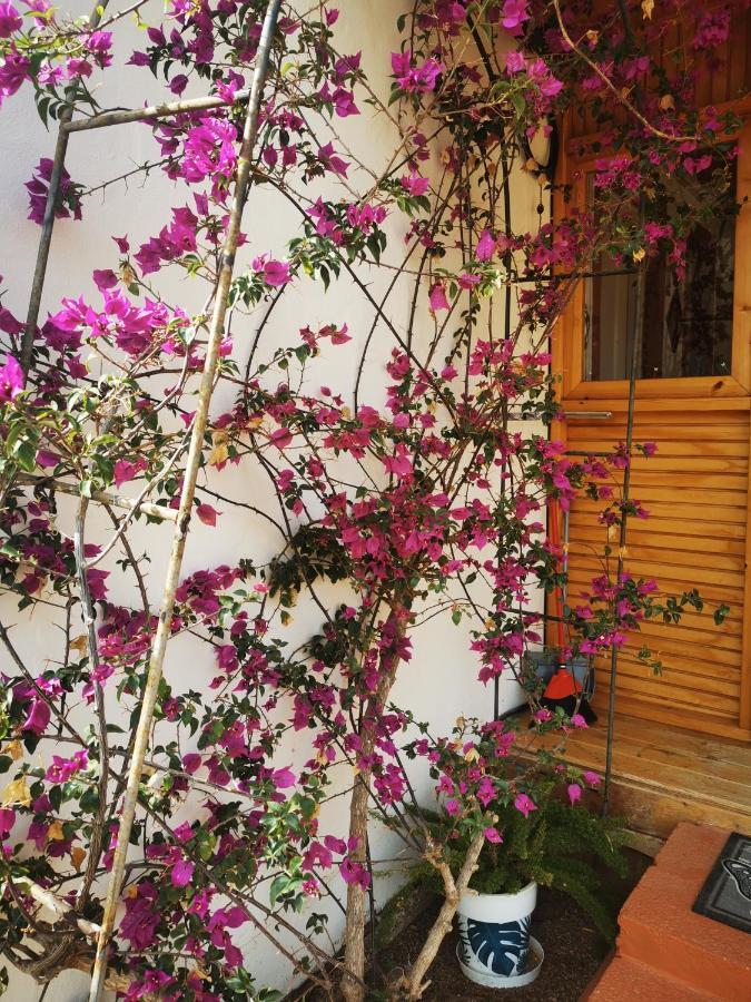 Country house Kikiki House Puerto del Rosario (Fuerteventura)
