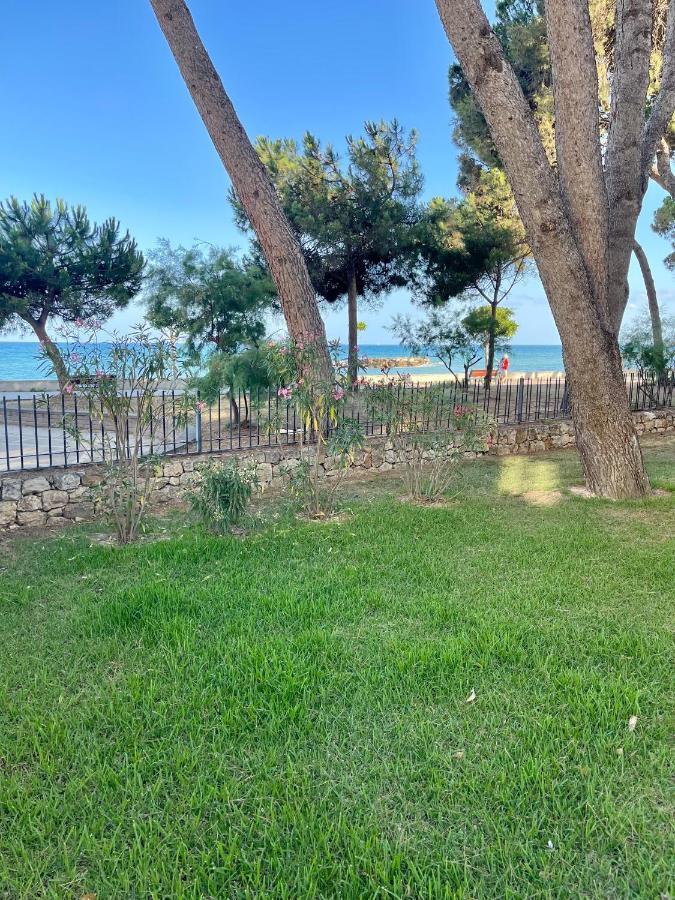 Apartbeach Miramar Frente Playa Climatizado Apartamento *
