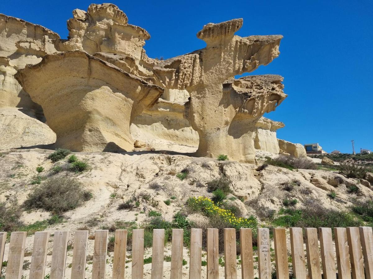 Taylors Camposol Mazarrón